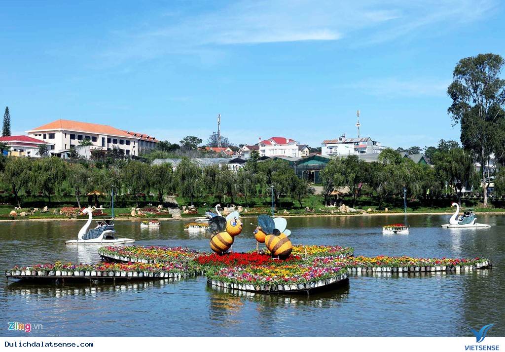 Đà Lạt Tuyệt Đẹp Rực Rỡ Sắc Hoa Tại Festival Hoa 2025 - Ảnh 19 Đà Lạt Tuyệt Đẹp Rực Rỡ Sắc Hoa Tại Festival Hoa 2025 - Ảnh 19