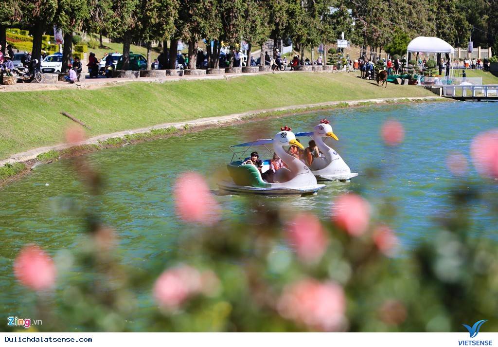 Đà Lạt Tuyệt Đẹp Rực Rỡ Sắc Hoa Tại Festival Hoa 2025 - Ảnh 16 Đà Lạt Tuyệt Đẹp Rực Rỡ Sắc Hoa Tại Festival Hoa 2025 - Ảnh 16