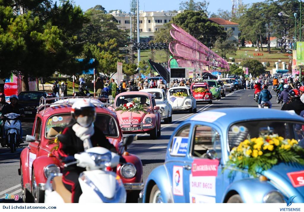 Đà Lạt Tuyệt Đẹp Rực Rỡ Sắc Hoa Tại Festival Hoa 2025 - Ảnh 2 Đà Lạt Tuyệt Đẹp Rực Rỡ Sắc Hoa Tại Festival Hoa 2025 - Ảnh 2