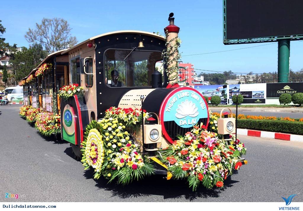 Đà Lạt Tuyệt Đẹp Rực Rỡ Sắc Hoa Tại Festival Hoa 2025 - Ảnh 3 Đà Lạt Tuyệt Đẹp Rực Rỡ Sắc Hoa Tại Festival Hoa 2025 - Ảnh 3