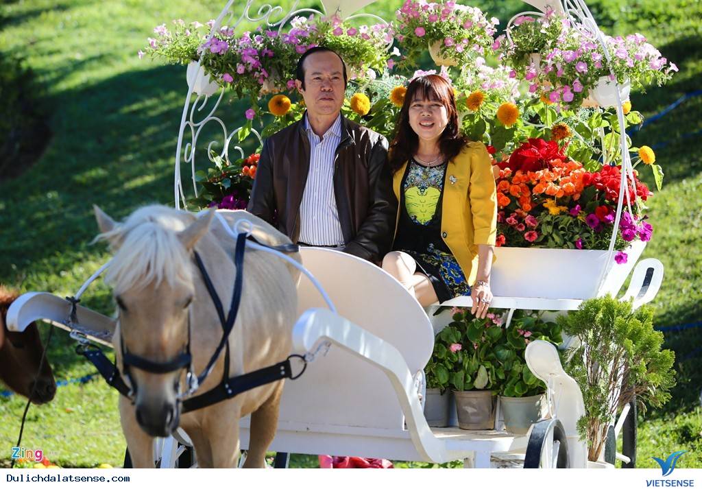 Đà Lạt Tuyệt Đẹp Rực Rỡ Sắc Hoa Tại Festival Hoa 2025 - Ảnh 14 Đà Lạt Tuyệt Đẹp Rực Rỡ Sắc Hoa Tại Festival Hoa 2025 - Ảnh 14