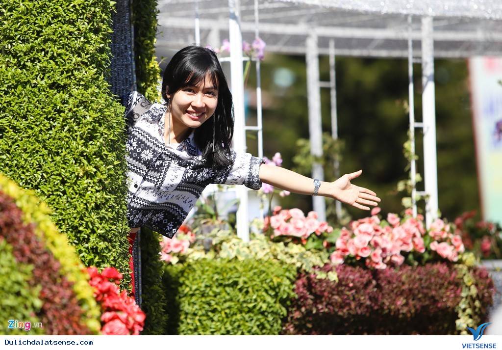 Đà Lạt Tuyệt Đẹp Rực Rỡ Sắc Hoa Tại Festival Hoa 2025 - Ảnh 6 Đà Lạt Tuyệt Đẹp Rực Rỡ Sắc Hoa Tại Festival Hoa 2025 - Ảnh 6