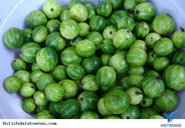 Đặc sản món cà đắng da trâu Đà Lạt - Ảnh 4 Đặc sản món cà đắng da trâu Đà Lạt - Ảnh 4