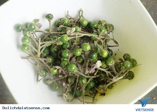 Đặc sản món cà đắng da trâu Đà Lạt - Ảnh 2 Đặc sản món cà đắng da trâu Đà Lạt - Ảnh 2