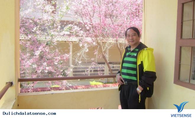 Đến Đà Lạt Ngắm Nhìn Cận Cảnh Ngôi Trường Lãng Mạn Nhất Việt Nam - Ảnh 6 Đến Đà Lạt Ngắm Nhìn Cận Cảnh Ngôi Trường Lãng Mạn Nhất Việt Nam - Ảnh 6