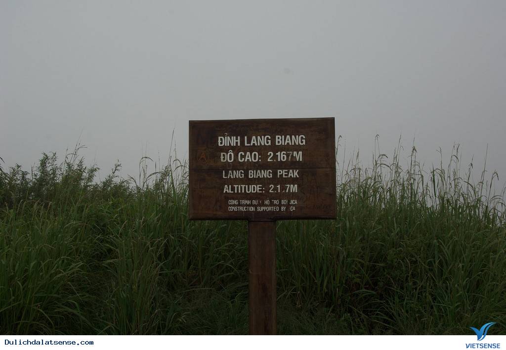 Các trò chơi cảm giác mạnh trên núi Langbiang - Ảnh 2 Các trò chơi cảm giác mạnh trên núi Langbiang - Ảnh 2