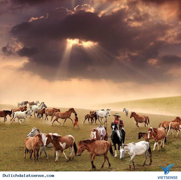 Đỉnh Lang Biang – Ngắm Nhìn Toàn Cảnh Đà Lạt Huyền Ảo Từ Trên Cao - Ảnh 3 Đỉnh Lang Biang – Ngắm Nhìn Toàn Cảnh Đà Lạt Huyền Ảo Từ Trên Cao - Ảnh 3