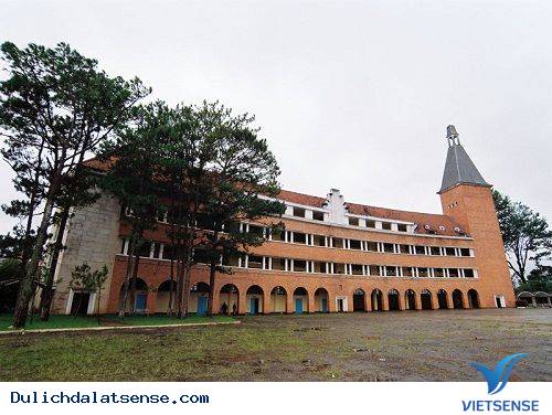 Độc Lạ Kiến Trúc Nhà Cong Phong Cách Châu Âu Ở Đà Lạt - Ảnh 1 Độc Lạ Kiến Trúc Nhà Cong Phong Cách Châu Âu Ở Đà Lạt - Ảnh 1