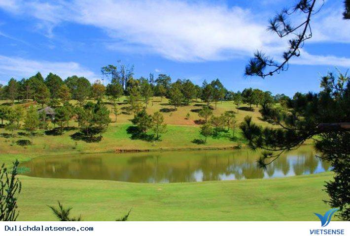 Đồi Cù Đà Lạt - Nét Đẹp Đà Lạt Về Đêm - Ảnh 8 Đồi Cù Đà Lạt - Nét Đẹp Đà Lạt Về Đêm - Ảnh 8