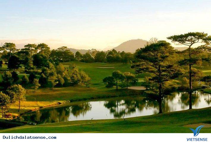 Đồi Cù Đà Lạt - Nét Đẹp Đà Lạt Về Đêm - Ảnh 3 Đồi Cù Đà Lạt - Nét Đẹp Đà Lạt Về Đêm - Ảnh 3