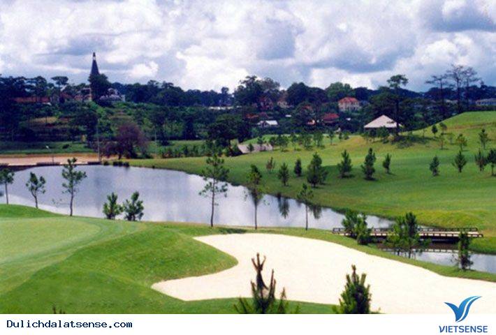 Đồi Cù Đà Lạt - Nét Đẹp Đà Lạt Về Đêm - Ảnh 6 Đồi Cù Đà Lạt - Nét Đẹp Đà Lạt Về Đêm - Ảnh 6