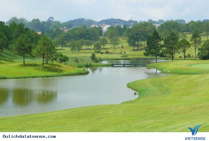 Đồi Cù Đà Lạt - Nét Đẹp Đà Lạt Về Đêm - Ảnh 4 Đồi Cù Đà Lạt - Nét Đẹp Đà Lạt Về Đêm - Ảnh 4