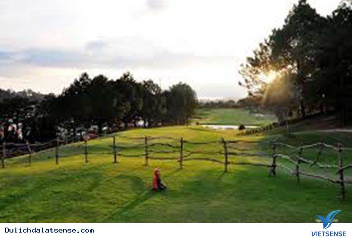 Đồi Cù Đà Lạt - Nét Đẹp Đà Lạt Về Đêm - Ảnh 7 Đồi Cù Đà Lạt - Nét Đẹp Đà Lạt Về Đêm - Ảnh 7