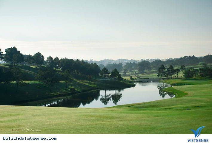 Đồi Cù Đà Lạt - Nét Đẹp Đà Lạt Về Đêm - Ảnh 1 Đồi Cù Đà Lạt - Nét Đẹp Đà Lạt Về Đêm - Ảnh 1