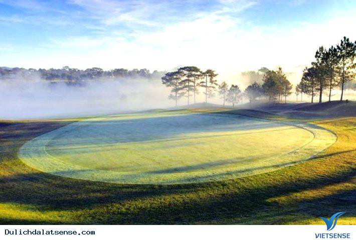 Đồi Cù Đà Lạt - Nét Đẹp Đà Lạt Về Đêm - Ảnh 2 Đồi Cù Đà Lạt - Nét Đẹp Đà Lạt Về Đêm - Ảnh 2