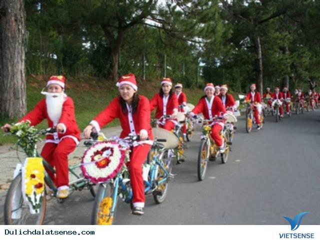 Đón giáng sinh và năm mới lý tưởng tại Đà Lạt - Ảnh 3 Đón giáng sinh và năm mới lý tưởng tại Đà Lạt - Ảnh 3