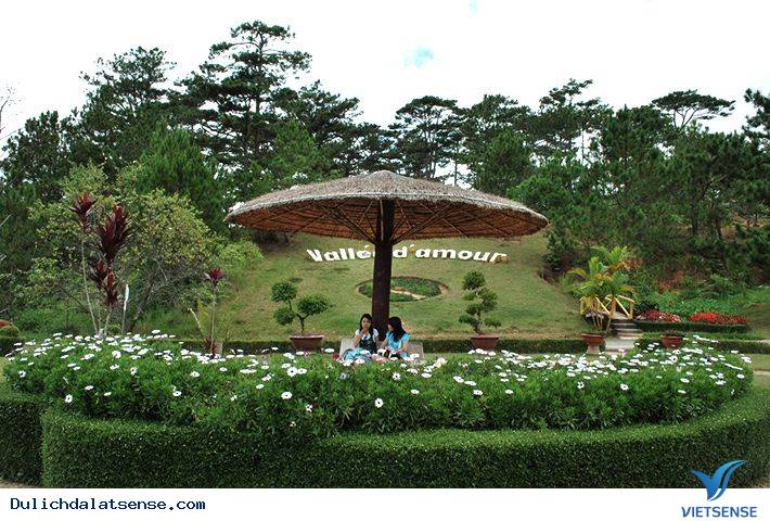 Đắm mình giữa cao nguyên lộng gió Đà Lạt - Ảnh 1 Đắm mình giữa cao nguyên lộng gió Đà Lạt - Ảnh 1