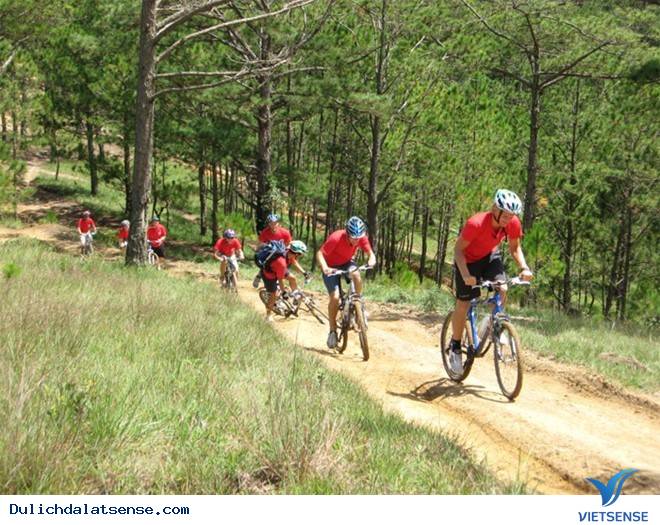 Đạp xe địa hình leo núi