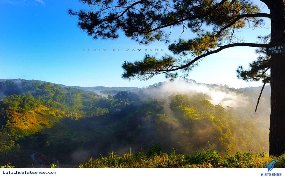 Đồi Thiên Phúc Đức