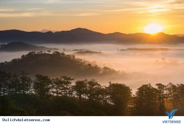 Đà Lạt Mùa Hè Thú Vị Đến Lạ Kỳ - Ảnh 1