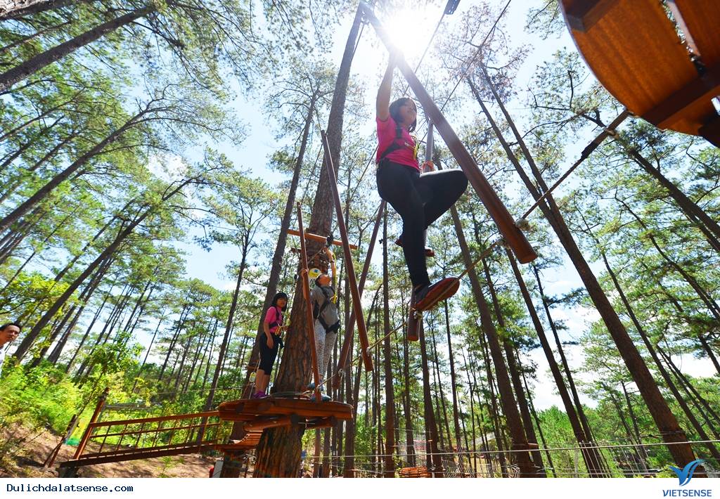 Ma Rừng Lữ Quán