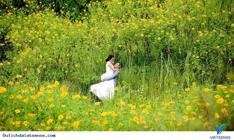 Trải nghiệm - Ảnh 2 Trải nghiệm - Ảnh 2