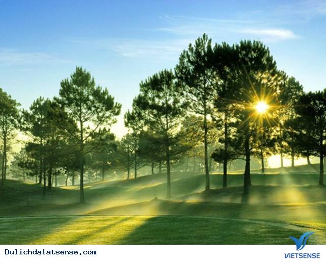 Trải nghiệm - Ảnh 1 Trải nghiệm - Ảnh 1