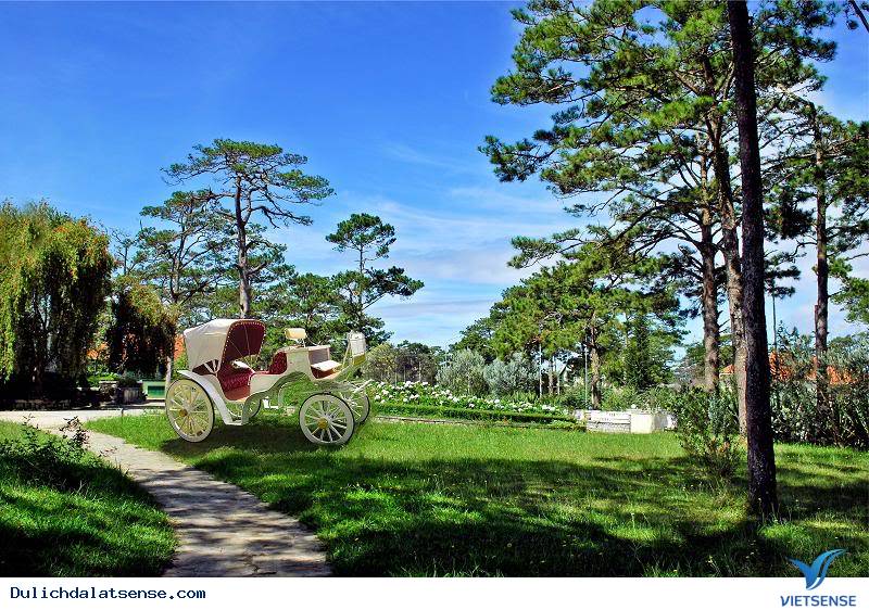 Giới thiệu - Ảnh 2 Giới thiệu - Ảnh 2