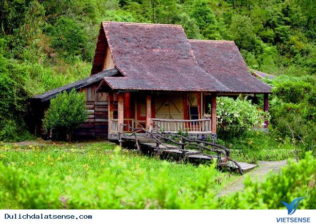 Chợ Đà Lạt và chợ Âm Phủ Chợ Đà Lạt và chợ Âm Phủ