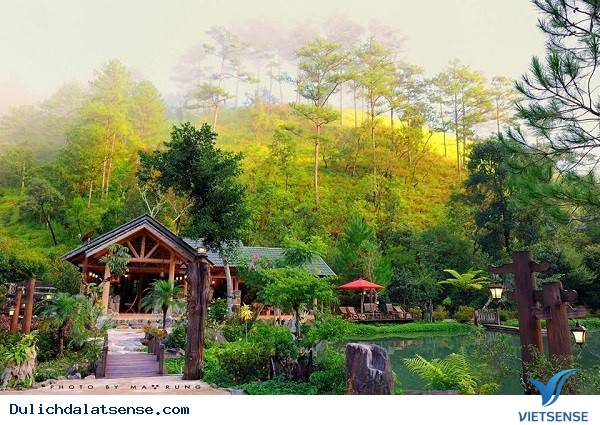 Đến 15 Địa Điểm Check-in, Selfie Tuyệt Đẹp tại Đà Lạt - Ảnh 1 Đến 15 Địa Điểm Check-in, Selfie Tuyệt Đẹp tại Đà Lạt - Ảnh 1