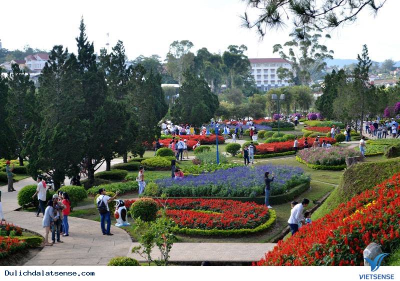 Festival Hoa Đà Lạt có gì đặc sắc? - Ảnh 7