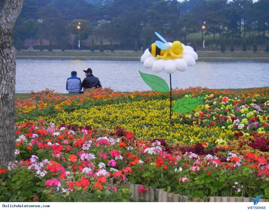 Festival Hoa Đà Lạt diễn ra khi nào? - Ảnh 1