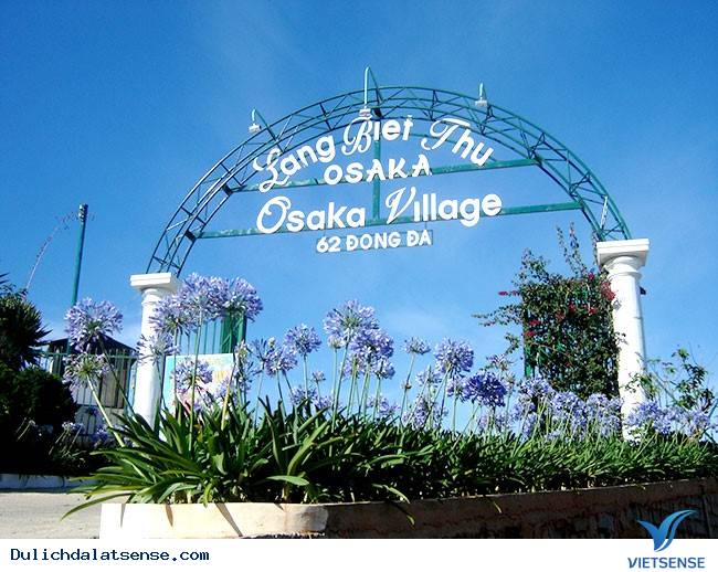 Festival Hoa Đà Lạt có gì đặc sắc? - Ảnh 4