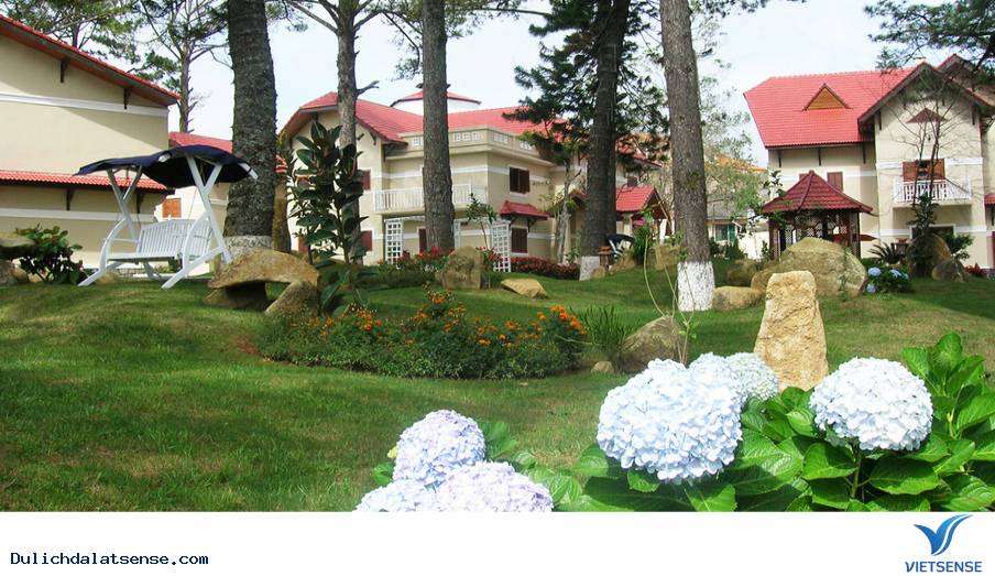 Festival Hoa Đà Lạt có gì đặc sắc? - Ảnh 8