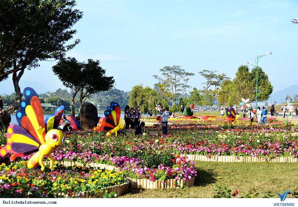 Festival Hoa Đà Lạt có gì đặc sắc? - Ảnh 2