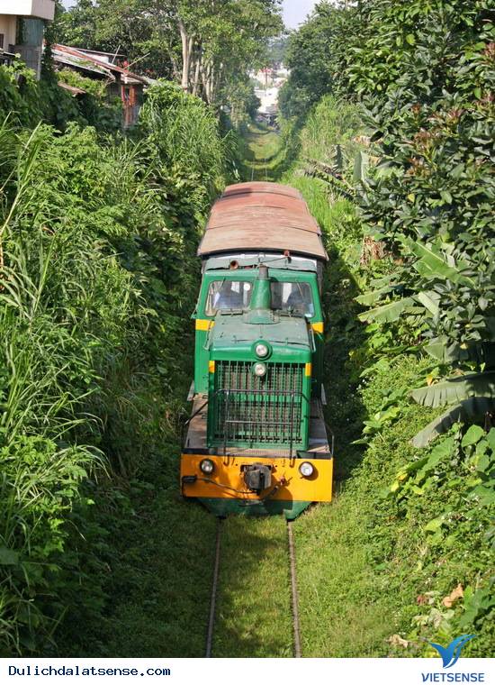 Ga Đà Lạt có thêm hai toa tàu phục vụ khách thăm quan - Ảnh 3 Ga Đà Lạt có thêm hai toa tàu phục vụ khách thăm quan - Ảnh 3