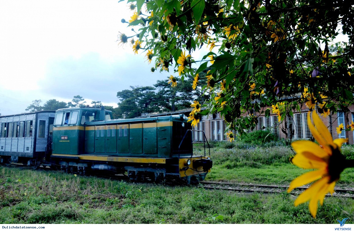 Ga Đà Lạt có thêm hai toa tàu phục vụ khách thăm quan - Ảnh 1 Ga Đà Lạt có thêm hai toa tàu phục vụ khách thăm quan - Ảnh 1