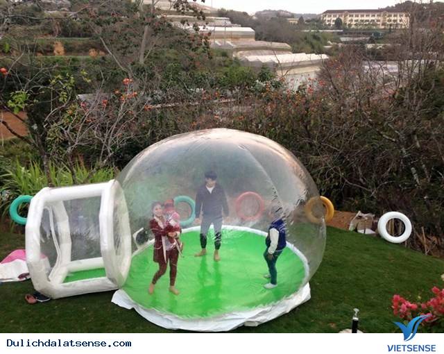 Khách Sạn Siêu Ống Cống Độc Đáo Giữa Lòng Đà Lạt - Ảnh 13