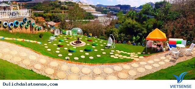 Khách Sạn Siêu Ống Cống Độc Đáo Giữa Lòng Đà Lạt - Ảnh 6