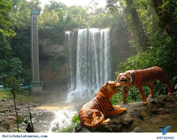 Khám phá Thác Đambri Đà Lạt - Ảnh 3