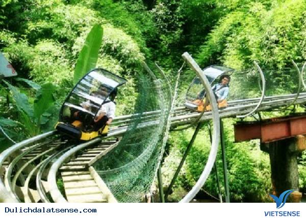 Khám phá Thác Đambri Đà Lạt - Ảnh 4