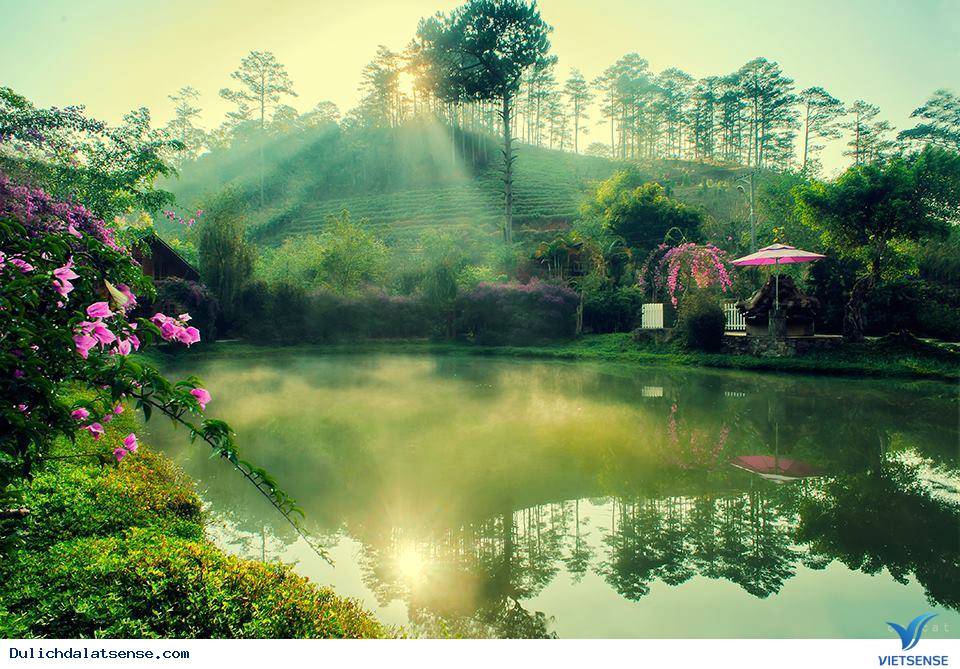 Khám phá vẻ đẹp quyến rũ cùa Đà Lạt - Ảnh 2 Khám phá vẻ đẹp quyến rũ cùa Đà Lạt - Ảnh 2