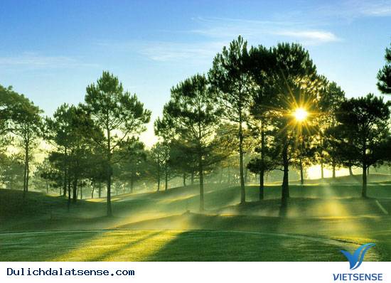 Khám phá vẻ đẹp quyến rũ cùa Đà Lạt - Ảnh 1 Khám phá vẻ đẹp quyến rũ cùa Đà Lạt - Ảnh 1