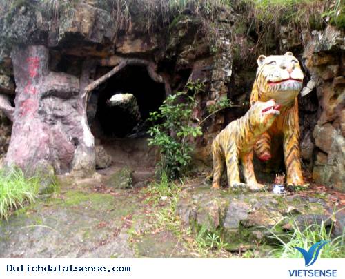 Khám phá vẻ đẹp Thác Hang Cọp Đà Lạt - Ảnh 3