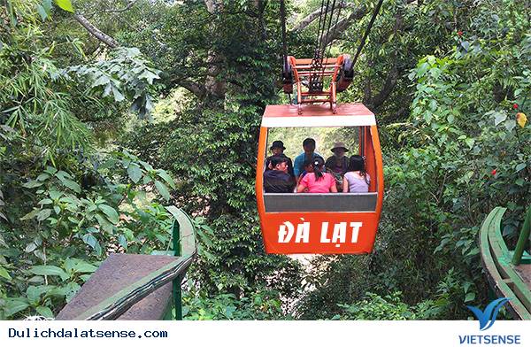 Cáp treo Đà Lạt - Ảnh 4 Cáp treo Đà Lạt - Ảnh 4