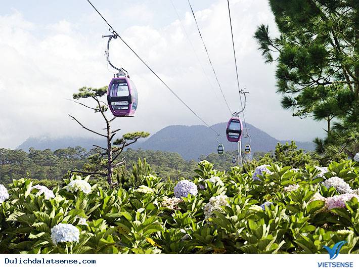 Cáp treo Đà Lạt - Ảnh 1 Cáp treo Đà Lạt - Ảnh 1