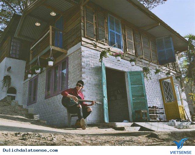 Khu Homestay Mới Đẹp Ngẩn Ngơ Giữa Rừng Thông Đà Lạt - Ảnh 1 Khu Homestay Mới Đẹp Ngẩn Ngơ Giữa Rừng Thông Đà Lạt - Ảnh 1
