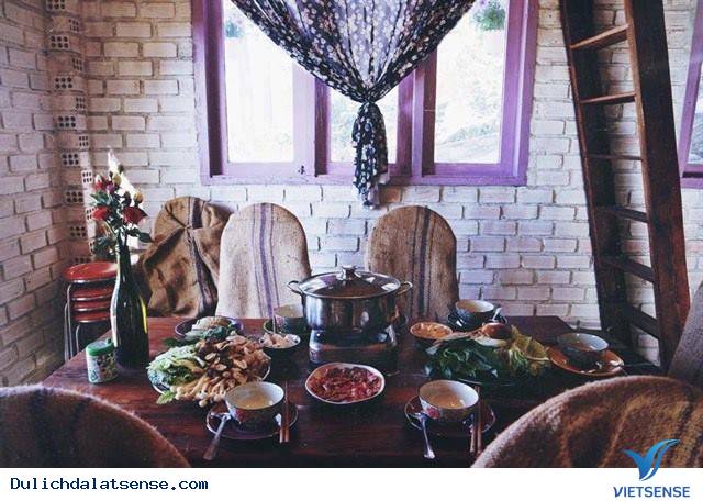 Khu Homestay Mới Đẹp Ngẩn Ngơ Giữa Rừng Thông Đà Lạt - Ảnh 3 Khu Homestay Mới Đẹp Ngẩn Ngơ Giữa Rừng Thông Đà Lạt - Ảnh 3