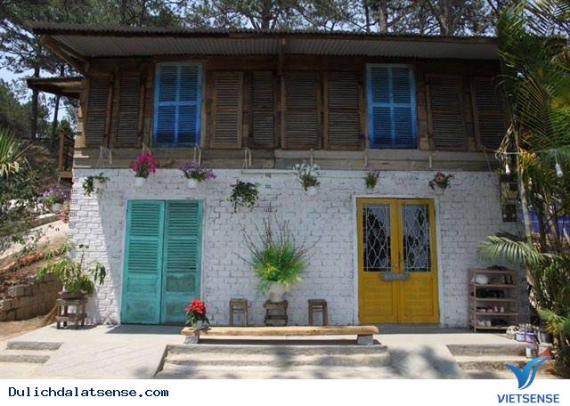 Khu Homestay Mới Đẹp Ngẩn Ngơ Giữa Rừng Thông Đà Lạt - Ảnh 5 Khu Homestay Mới Đẹp Ngẩn Ngơ Giữa Rừng Thông Đà Lạt - Ảnh 5