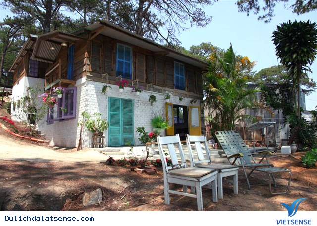 Khu Homestay Mới Đẹp Ngẩn Ngơ Giữa Rừng Thông Đà Lạt - Ảnh 11 Khu Homestay Mới Đẹp Ngẩn Ngơ Giữa Rừng Thông Đà Lạt - Ảnh 11